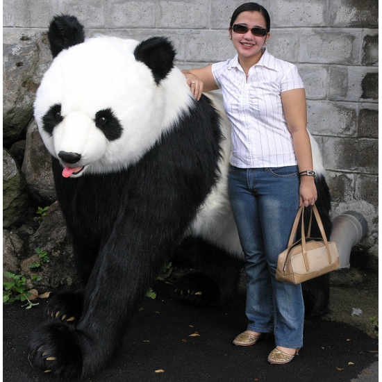 Opgewonden zijn Tanzania item Mega pluche pandabeer, Panda knuffel > 50 cm - Knuffels-shop.nl